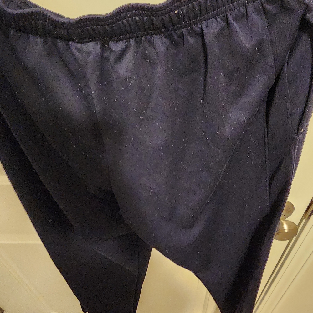 C9 sweatpants